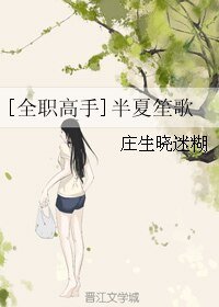 （全职同人）[全职高手]半夏笙歌