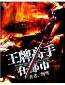 王牌高手在都市